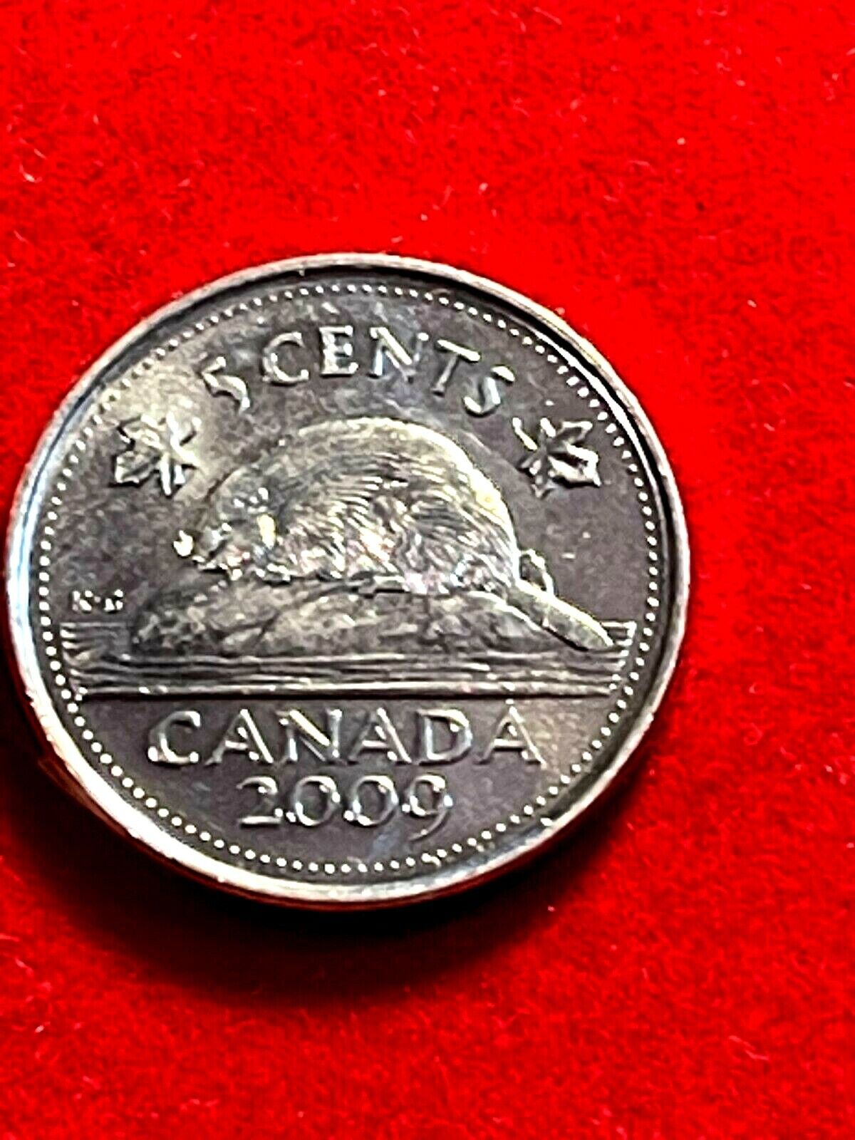 Canada 2009 Nickel, Canadian Mint 5 Cents Coin, Circulated, Queen Elizabeth Ii