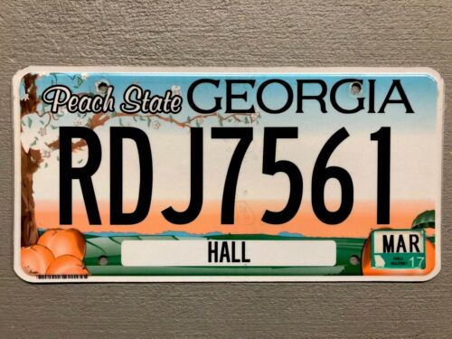 Georgia License Plate Peach State 🍑 Random Letters/numbers Nice!!!